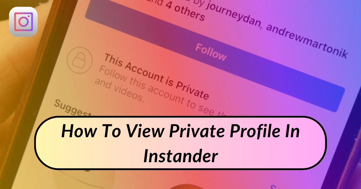 View-Private-Profile-in-Instander